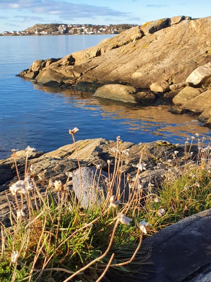Skaergardsidyll Pa Bjoerkoe Med Gangavstand Till Havet Skarvik エクステリア 写真